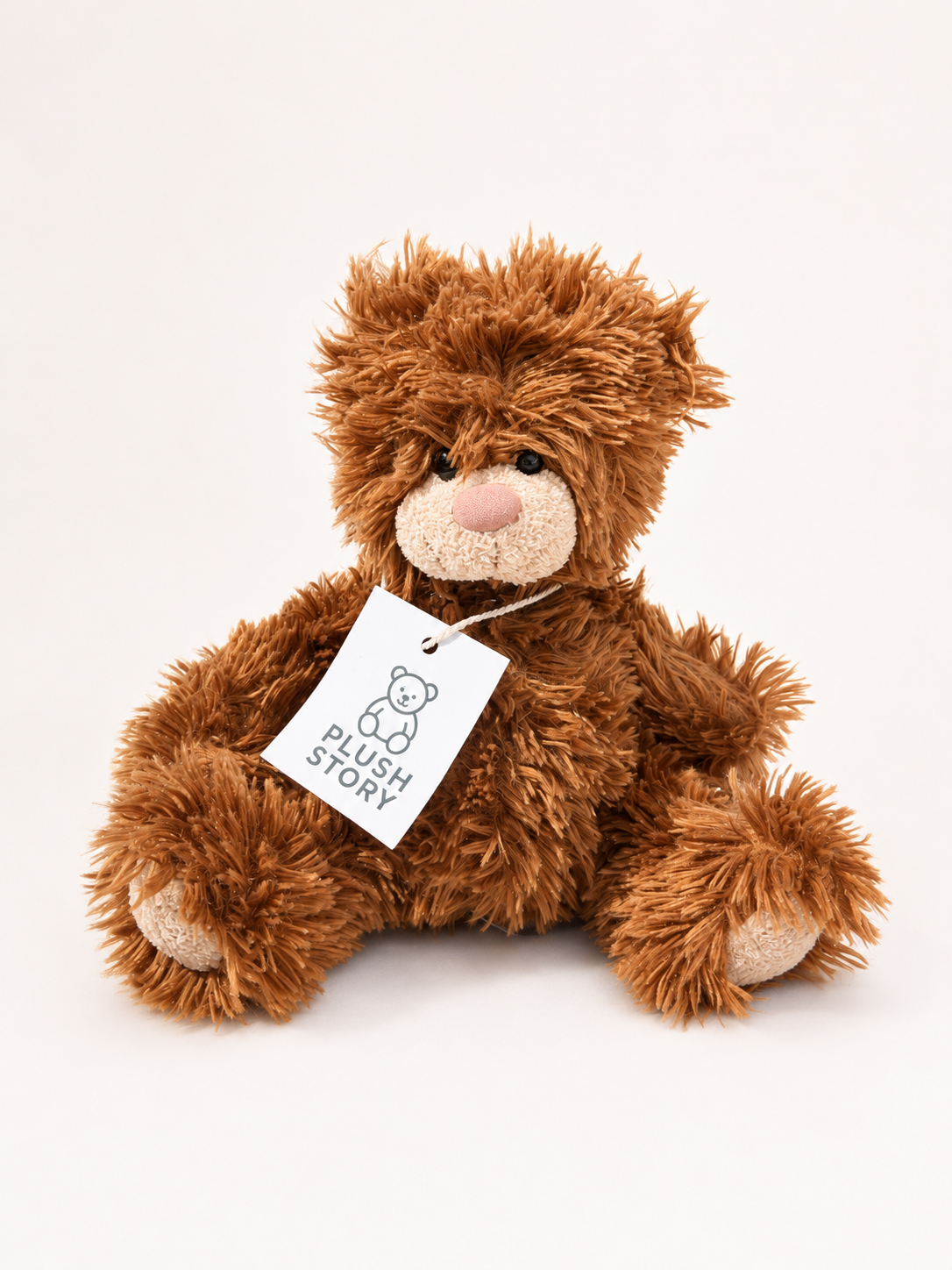 Monty The Bear