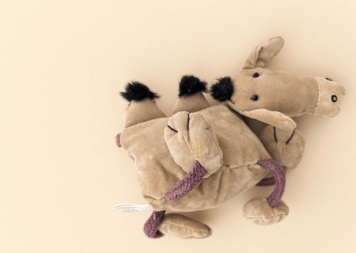 JELLYCAT Dingly Dangly Camel