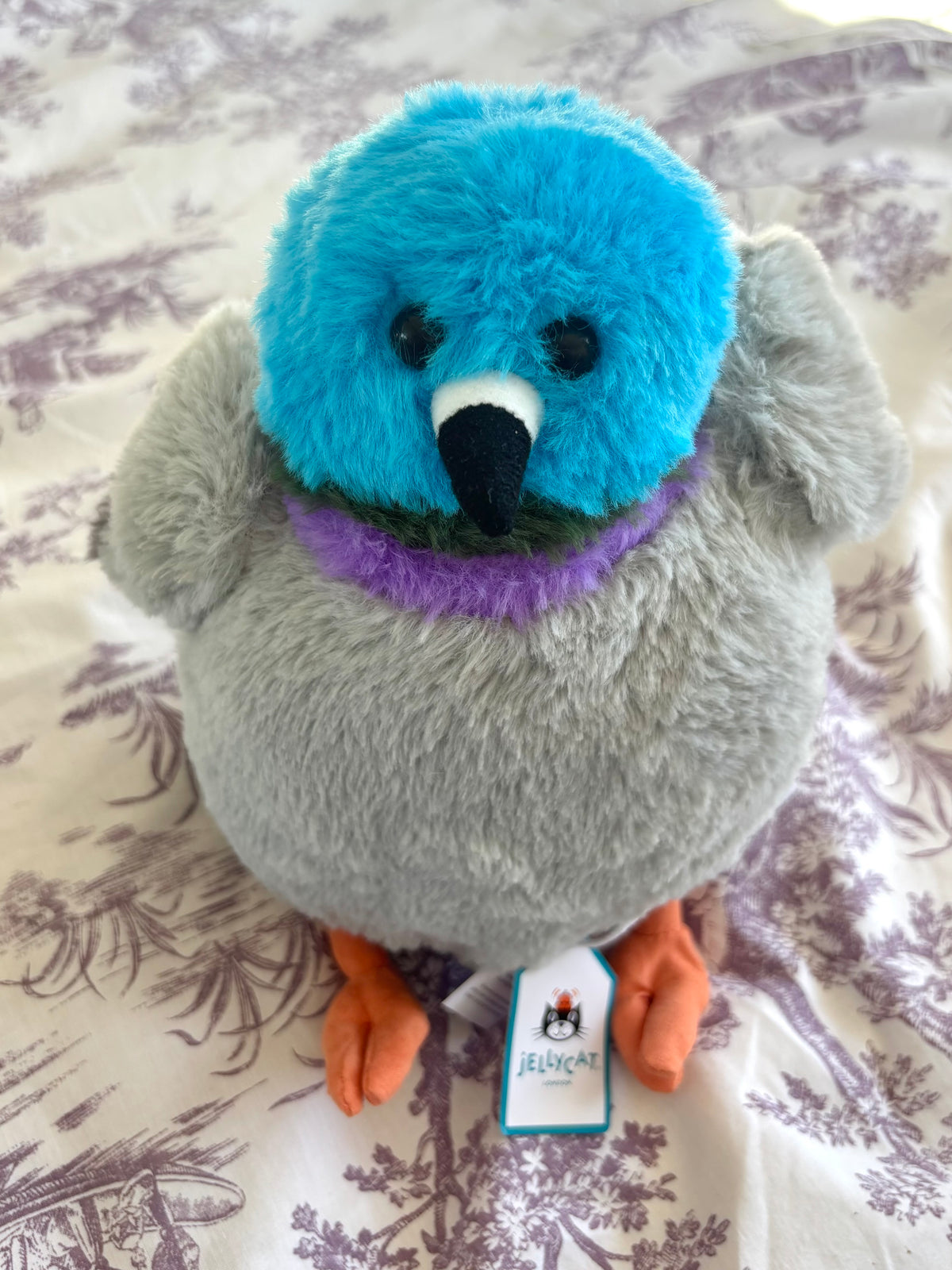 Sir Feathers