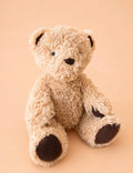 Edward Jelly cat Bear