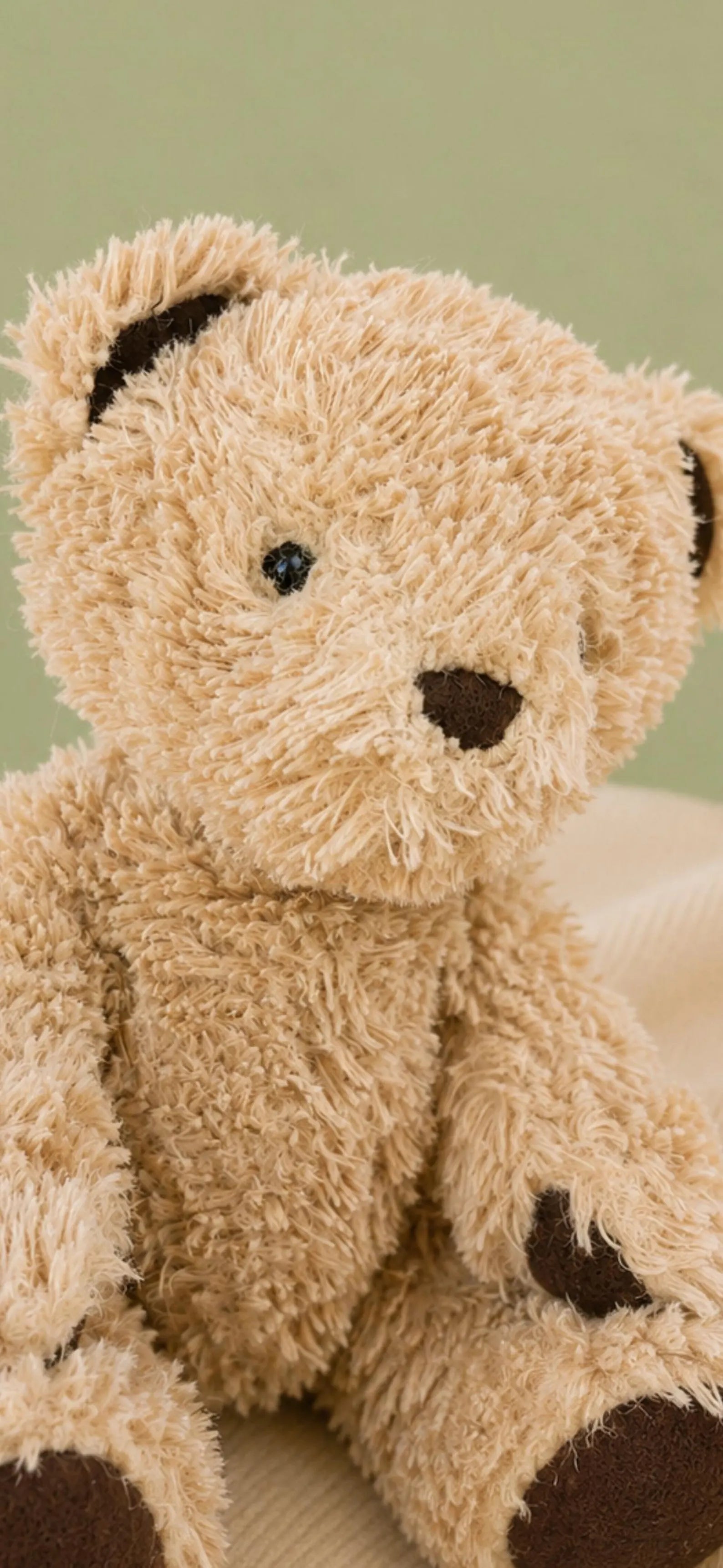 Edward Jelly cat Bear