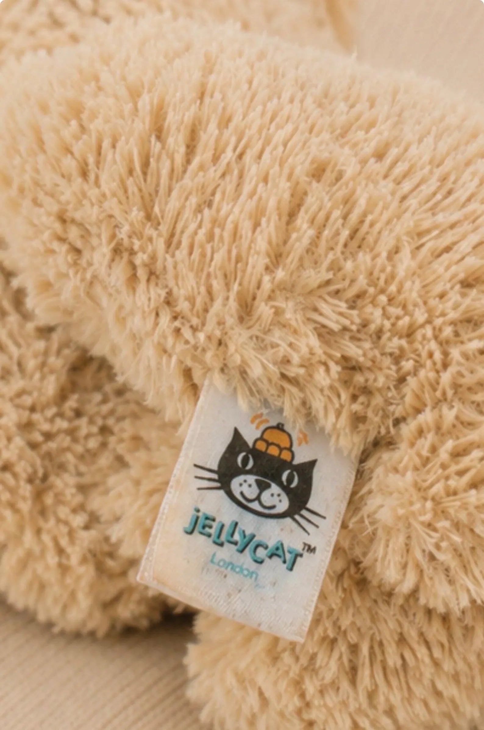 Edward Jelly cat Bear