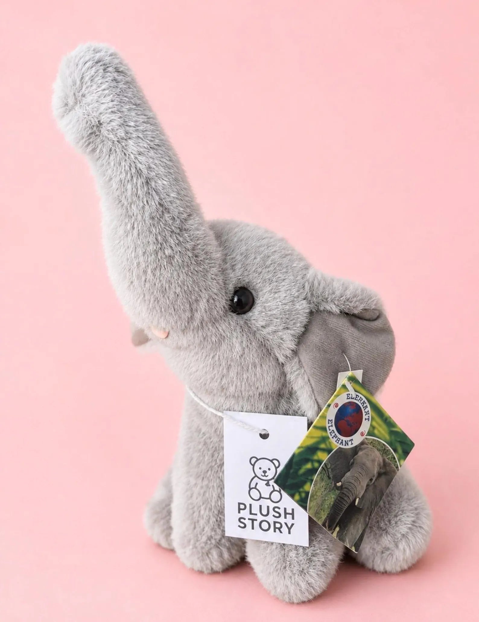 Peaches The Elephant
